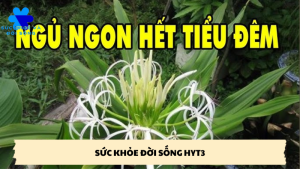 sức khoẻ đời sống hyt3